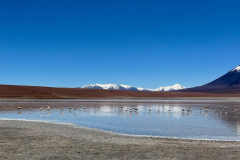 IMG_7760